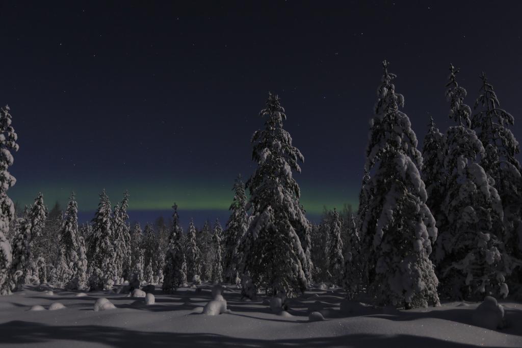 Lapland Northern Lights Hotel Ilveslinna Рануа Екстер'єр фото